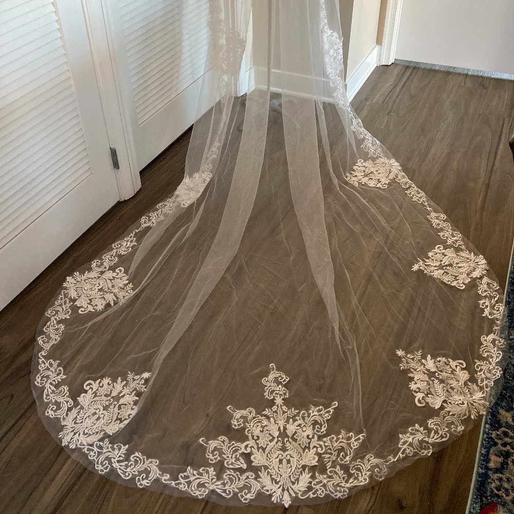 Ivory Lace Cathedral Veil